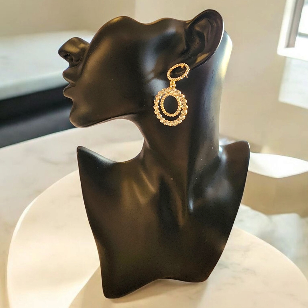 Elegant Gold and Silver Hoop Earrings